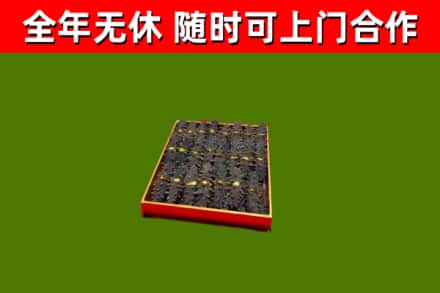 莲都回收海参